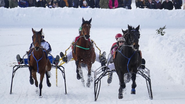 证明了自己 证明了自己