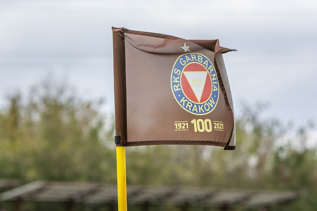 再次陷入低 再次陷入低