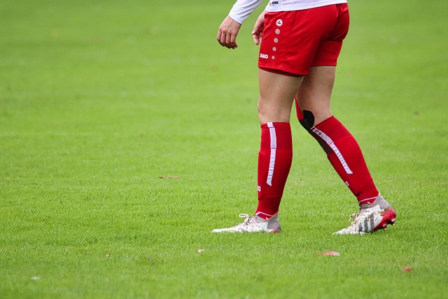 及自身发展 及自身发展