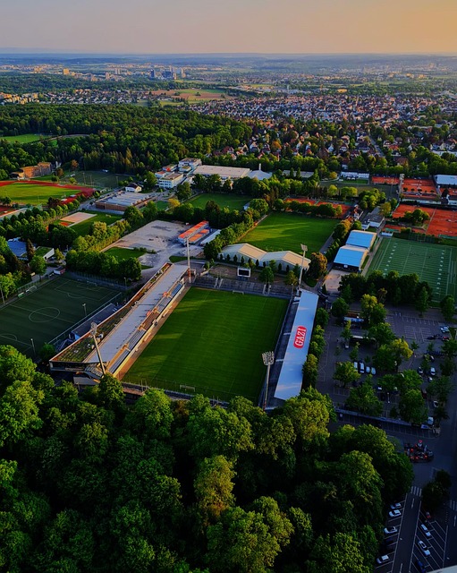 无论是球技 无论是球技