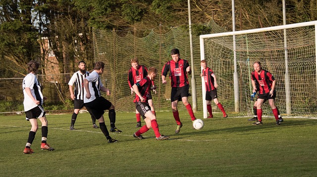 稳定性得到 稳定性得到