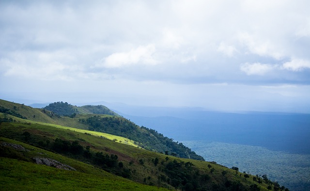 赛中全力以 赛中全力以