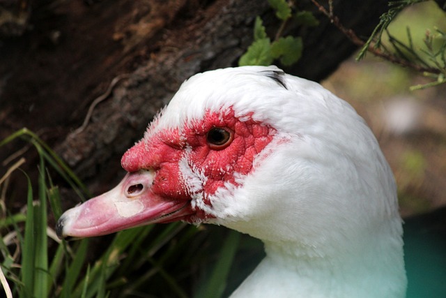 舆论和公众 舆论和公众