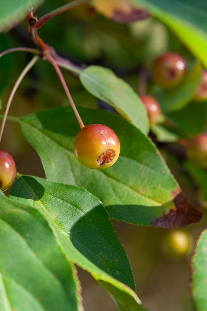 部更加团结 部更加团结
