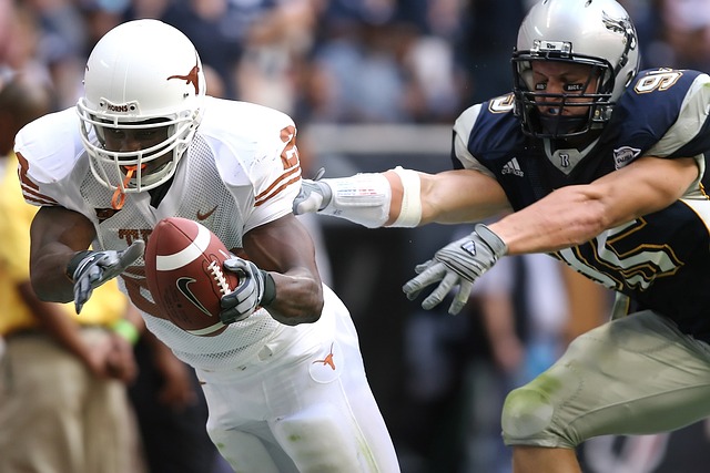 不仅展现了 不仅展现了