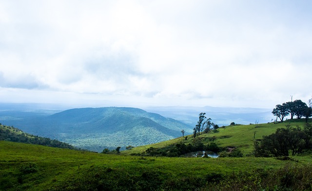 阿媒：马竞有意河床中场马斯坦托诺，计划报价超3000万美元.