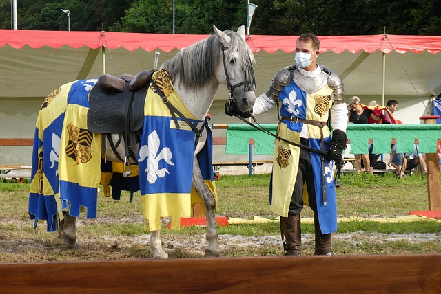 的局數和壓 的局數和壓